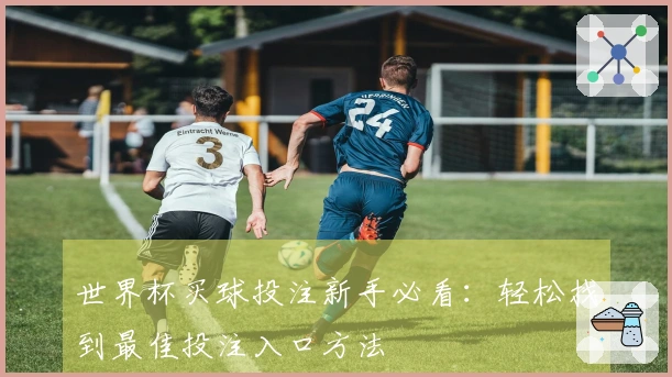 世界杯买球投注新手必看：轻松找到最佳投注入口方法