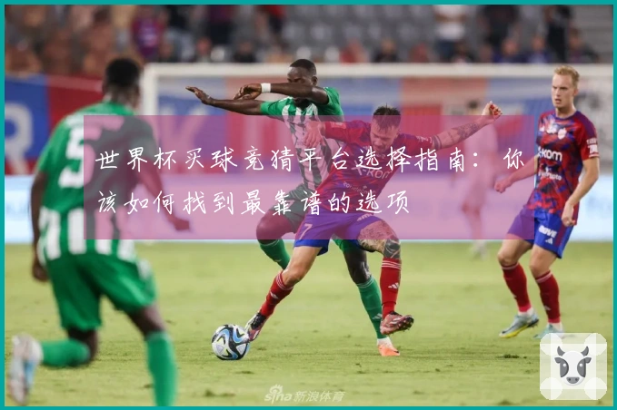 世界杯买球竞猜平台选择指南：你该如何找到最靠谱的选项