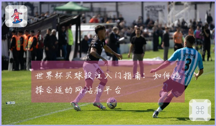 世界杯买球投注入门指南：如何选择合适的网站和平台