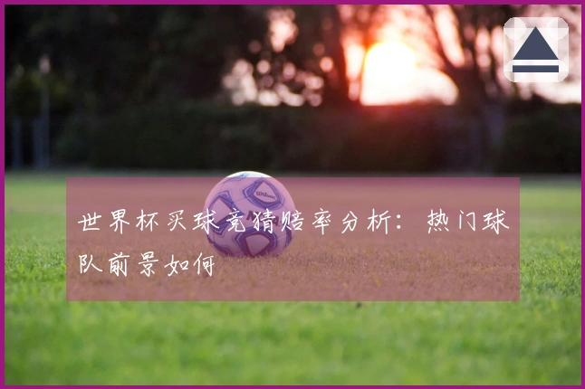 世界杯买球竞猜赔率分析：热门球队前景如何