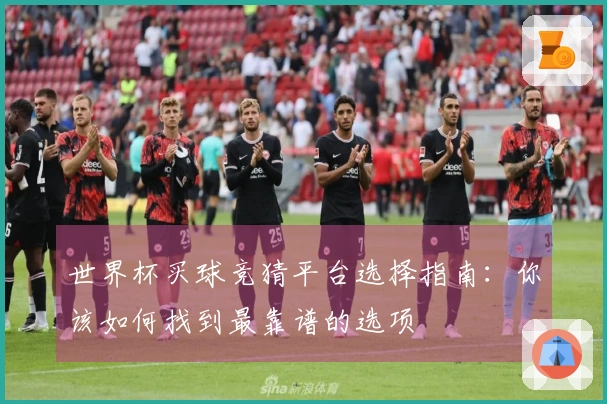 世界杯买球竞猜平台选择指南：你该如何找到最靠谱的选项