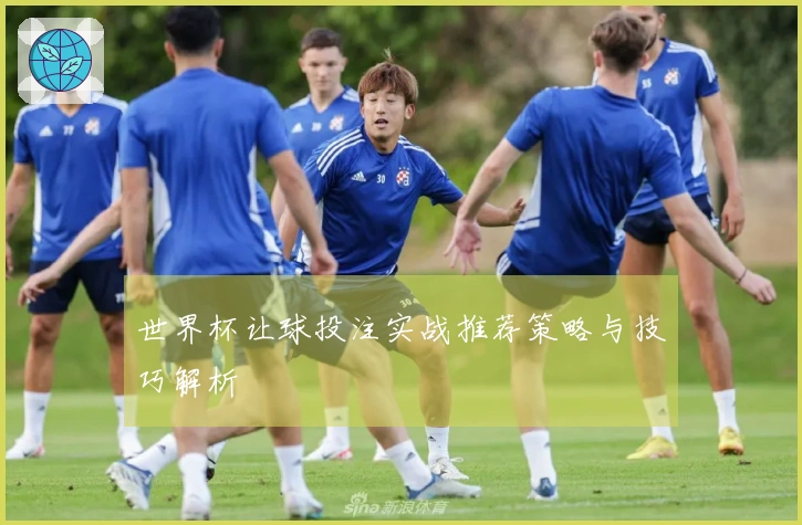 世界杯让球投注实战推荐策略与技巧解析