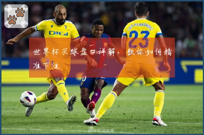 世界杯买球盘口详解，教你如何精准下注