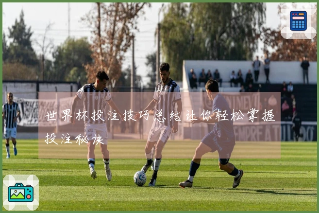 世界杯投注技巧总结让你轻松掌握投注秘诀