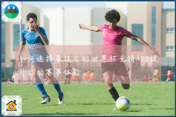 如何选择最适合的世界杯竞猜App提升你的赛事体验