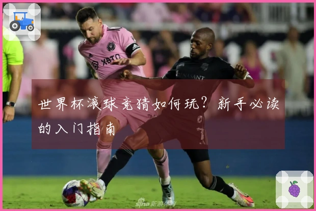 世界杯滚球竞猜如何玩？新手必读的入门指南