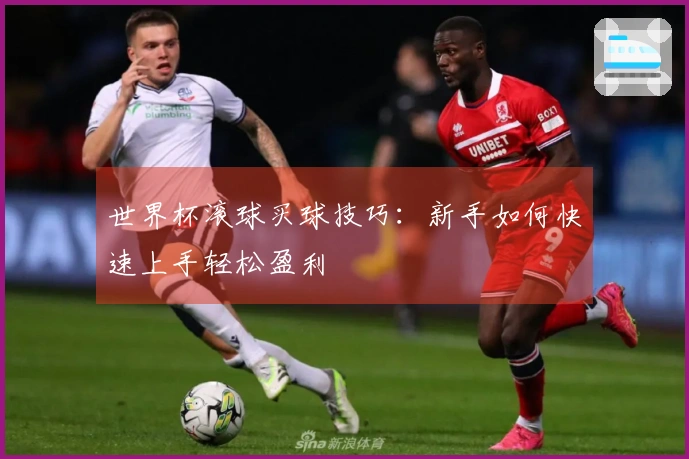 世界杯滚球买球技巧：新手如何快速上手轻松盈利
