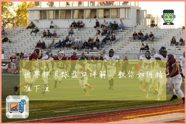 世界杯买球盘口详解，教你如何精准下注